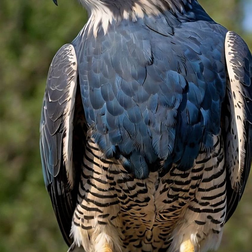 WhatsApp Image 2026-08-27 at 10.23.21 AM